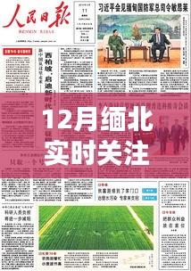12月緬北輿論熱點深度解析與實時關注新聞報道