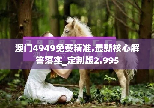 澳門4949免費(fèi)精準(zhǔn),最新核心解答落實(shí)_定制版2.995