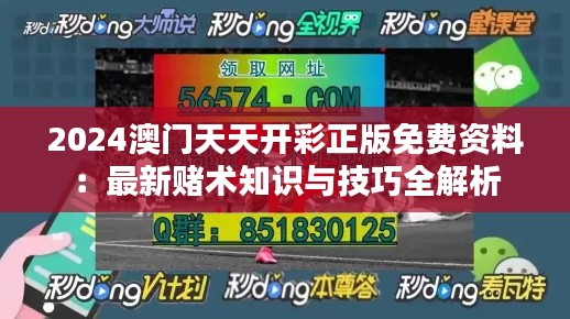 2024澳門天天開彩正版免費資料：最新賭術(shù)知識與技巧全解析