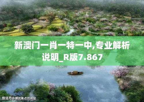 新澳門一肖一特一中,專業(yè)解析說明_R版7.867