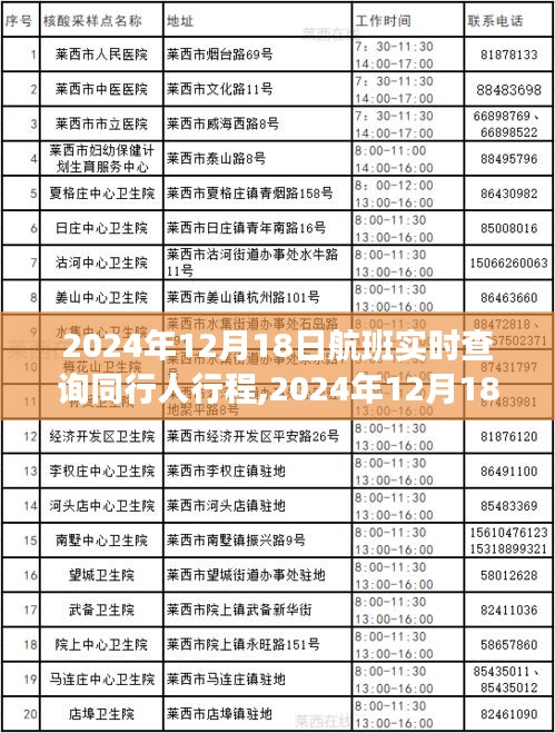 2024年12月18日航班同行人實(shí)時(shí)查詢(xún)，追蹤時(shí)代旅程的便捷工具