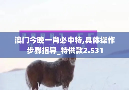 澳門今晚一肖必中特,具體操作步驟指導(dǎo)_特供款2.531