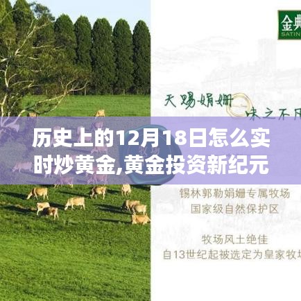 黃金投資新紀元，科技引領下的實時交易體驗與黃金市場走勢解析（12月18日篇）