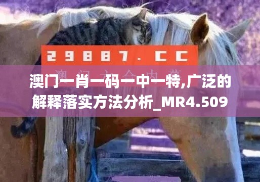 澳門一肖一碼一中一特,廣泛的解釋落實(shí)方法分析_MR4.509