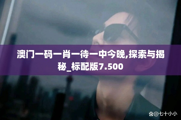 澳門一碼一肖一待一中今晚,探索與揭秘_標配版7.500