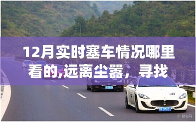 12月旅行路上的塞車風(fēng)景探索，尋找心靈綠洲與實(shí)時路況美景體驗(yàn)