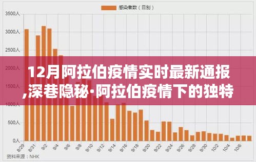 阿拉伯疫情最新通報與獨(dú)特風(fēng)味體驗，深巷隱秘中的故事
