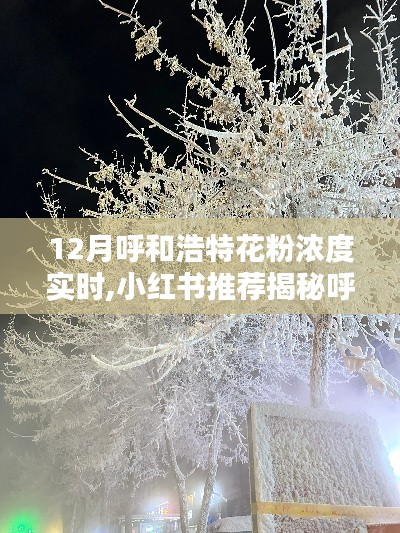 小紅書揭秘呼和浩特冬季奇跡，實(shí)時(shí)播報(bào)花粉濃度