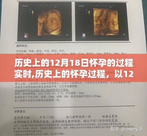 揭秘歷史上懷孕過(guò)程，以12月18日為時(shí)間線的懷孕歷程實(shí)時(shí)追蹤