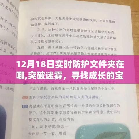 揭秘實(shí)時(shí)防護(hù)文件夾位置，成長(zhǎng)的寶藏與變化中的守護(hù)之地