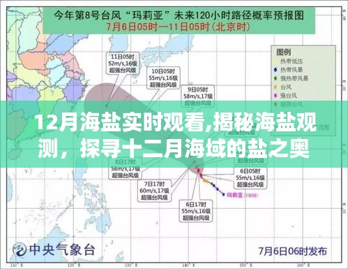 揭秘十二月海鹽觀測，探尋海域鹽分的奧秘