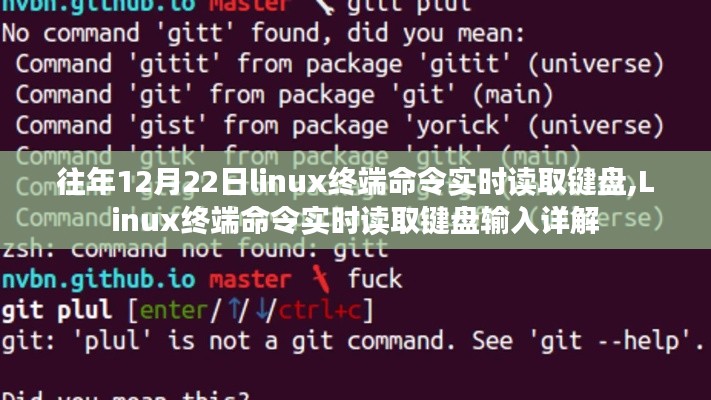 Linux終端命令實時讀取鍵盤輸入詳解，操作指南與技巧