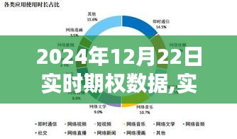 2024年12月22日實時期權(quán)數(shù)據(jù)深度解析與應用指南
