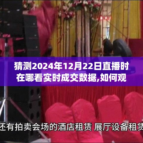 2024年12月22日直播實(shí)時(shí)成交數(shù)據(jù)觀看指南，如何在線獲取詳細(xì)步驟