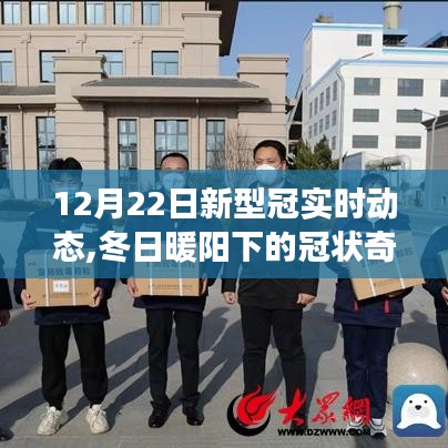 冬日暖陽下的奇跡，新型冠實時動態與美景邂逅之旅