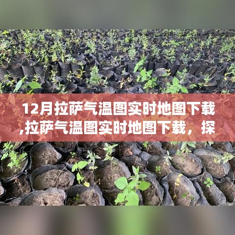 探尋氣候變遷背后的影響，拉薩氣溫實時地圖下載及分析