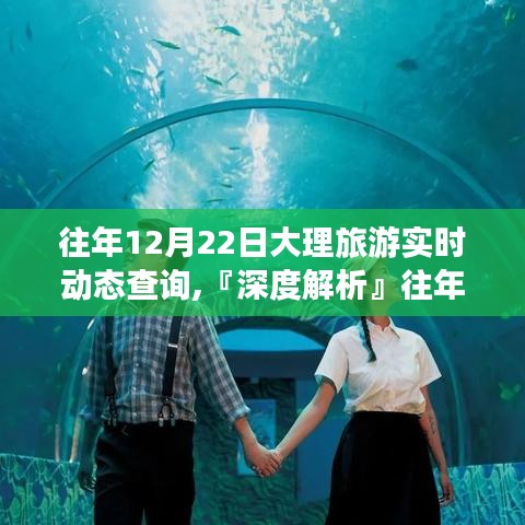 『深度解析』，往年12月22日大理旅游實(shí)時(shí)動(dòng)態(tài)查詢?nèi)馕觥匦浴Ⅲw驗(yàn)、競品對比與用戶洞察體驗(yàn)報(bào)告