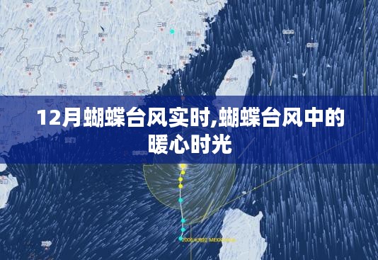 蝴蝶臺風中的暖心時刻，實時追蹤報道與溫情分享