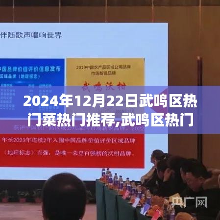 武鳴區(qū)熱門菜推薦展望，2024年12月22日的味蕾盛宴