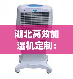 湖北高效加濕機定制：加濕機使用視頻 