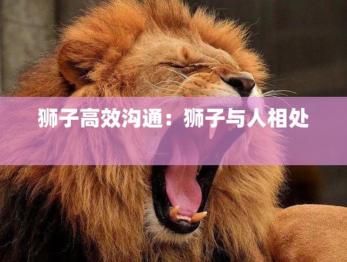 獅子高效溝通：獅子與人相處 