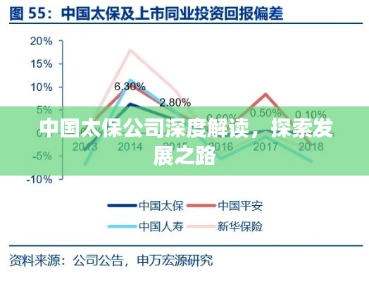 中國太保公司深度解讀，探索發展之路