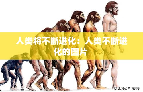 人類將不斷進(jìn)化：人類不斷進(jìn)化的圖片 