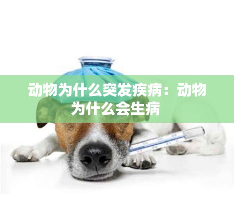 動物為什么突發(fā)疾病：動物為什么會生病 