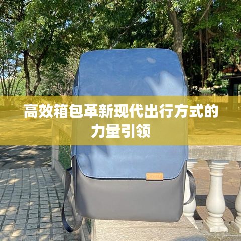 高效箱包革新現(xiàn)代出行方式的力量引領(lǐng)