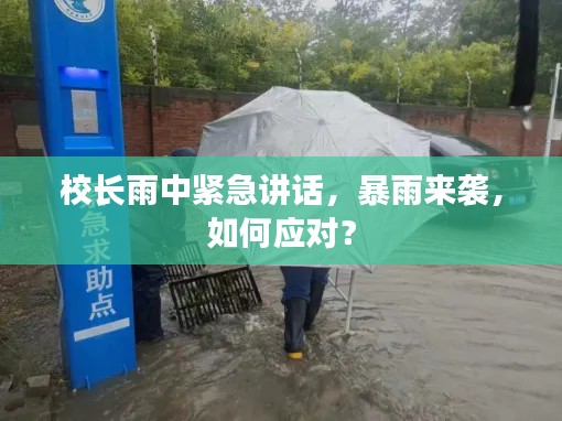 校長雨中緊急講話，暴雨來襲，如何應對？