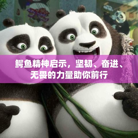 關于我們 第119頁