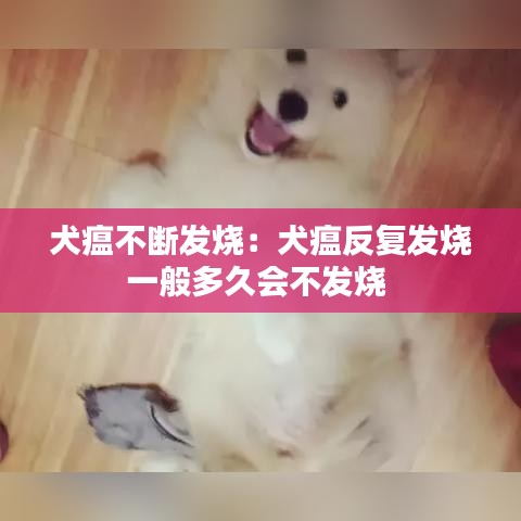犬瘟不斷發(fā)燒：犬瘟反復(fù)發(fā)燒一般多久會不發(fā)燒 
