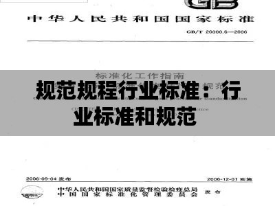 規范規程行業標準：行業標準和規范 