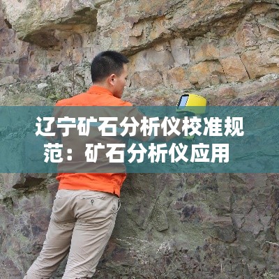 遼寧礦石分析儀校準規范：礦石分析儀應用 