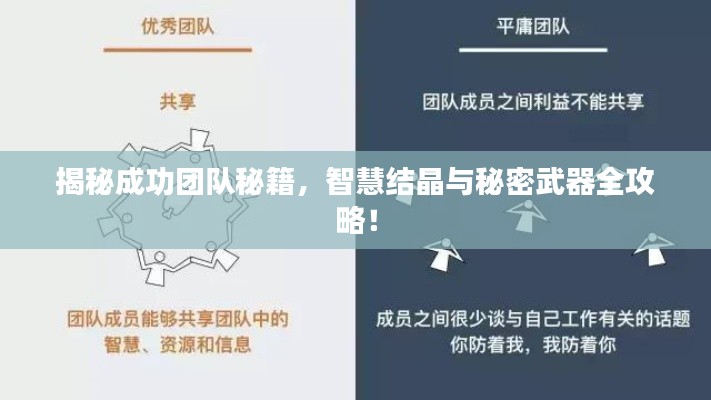 揭秘成功團(tuán)隊(duì)秘籍，智慧結(jié)晶與秘密武器全攻略！