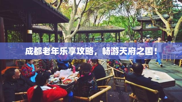 成都老年樂享攻略，暢游天府之國！