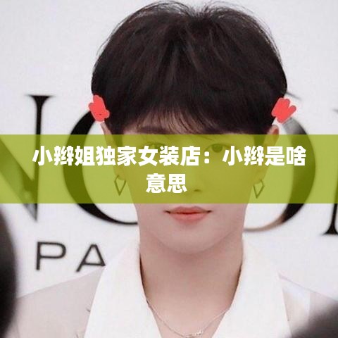 小辮姐獨(dú)家女裝店：小辮是啥意思 