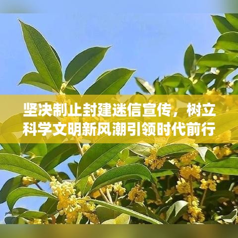 堅決制止封建迷信宣傳，樹立科學文明新風潮引領時代前行