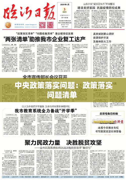 中央政策落實(shí)問題：政策落實(shí)問題清單 
