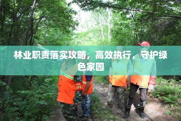 林業職責落實攻略，高效執行，守護綠色家園