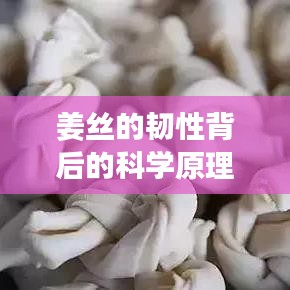 姜絲的韌性背后的科學原理揭秘