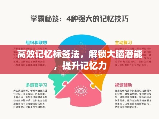 高效記憶標(biāo)簽法，解鎖大腦潛能，提升記憶力
