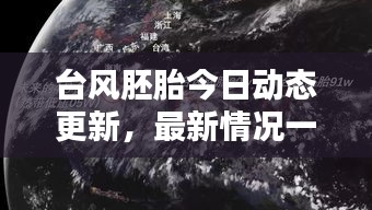 臺(tái)風(fēng)胚胎今日動(dòng)態(tài)更新，最新情況一覽
