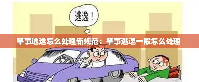 肇事逃逸怎么處理新規范：肇事逃逸一般怎么處理 