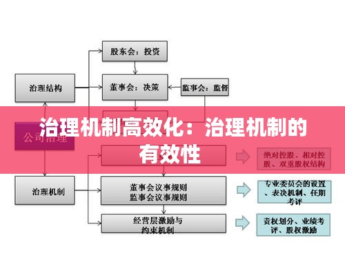 治理機(jī)制高效化：治理機(jī)制的有效性 