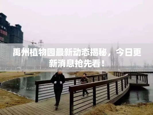 禹州植物園最新動(dòng)態(tài)揭秘，今日更新消息搶先看！