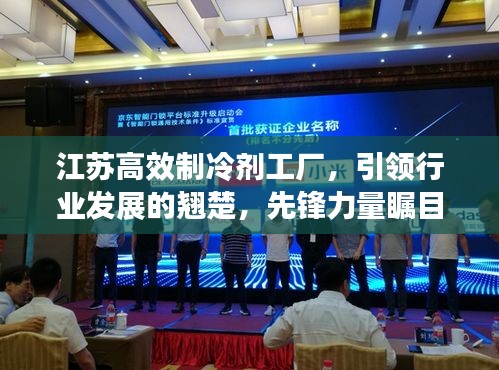 江蘇高效制冷劑工廠，引領(lǐng)行業(yè)發(fā)展的翹楚，先鋒力量矚目之選