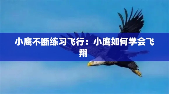 小鷹不斷練習飛行：小鷹如何學會飛翔 