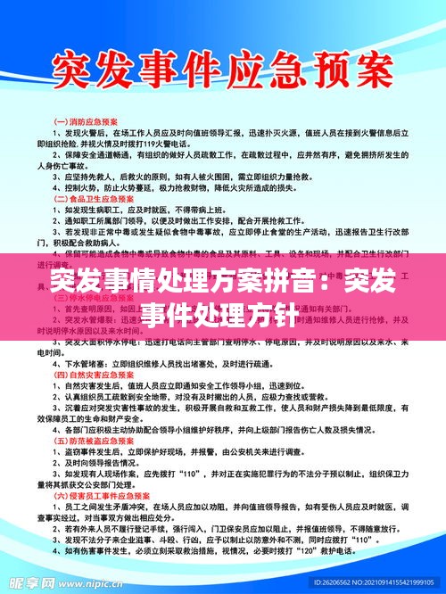 突發事情處理方案拼音：突發事件處理方針 