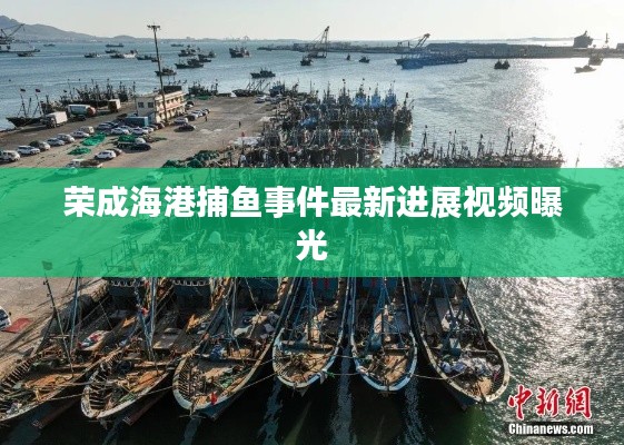 榮成海港捕魚事件最新進展視頻曝光
